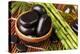 Spa Still Life with Hot Stones and Essential Oil-egal-Premier Image Canvas