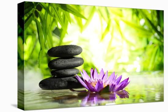 Spa Still Life with Lotus and Zen Stone on Water,Bamboo Background.-Liang Zhang-Premier Image Canvas