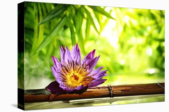 Spa Still Life with Lotus Float on Water,Bamboo Background.-Liang Zhang-Premier Image Canvas