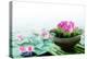 Spa Still Life with Lotus for Body Treatment-Liang Zhang-Premier Image Canvas