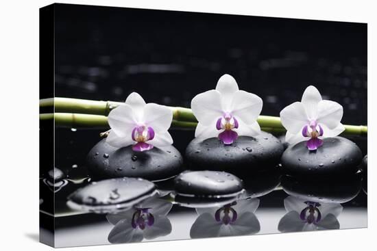 Spa Still Life with Three Orchid and Zen Stones with Bamboo Grove Reflection-crystalfoto-Premier Image Canvas