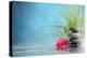 Spa Still Life with Water Lily and Zen Stone in a Serenity Pool-Sofiaworld-Premier Image Canvas