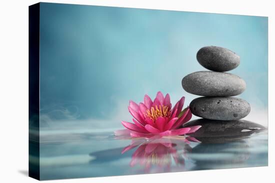 Spa Still Life with Water Lily and Zen Stone in a Serenity Pool-Liang Zhang-Premier Image Canvas