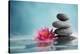 Spa Still Life with Water Lily and Zen Stone in a Serenity Pool-Liang Zhang-Premier Image Canvas