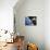 Space Shuttle and Earth-David Bases-Premier Image Canvas displayed on a wall