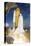 Space Shuttle Atlantis Lifts Off from its Launch Pad at Kennedy Space Center, Florida-null-Premier Image Canvas