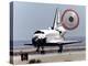 Space Shuttle Landing-null-Premier Image Canvas