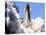 Space Shuttle-Terry Renna-Premier Image Canvas