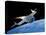 SpaceShipOne, Artwork-Henning Dalhoff-Premier Image Canvas