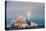 Spacex Crs-10 Launch-null-Premier Image Canvas