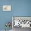 Spadix Purpurea: Hydroid-Philip Henry Gosse-Premier Image Canvas displayed on a wall