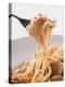 Spaghetti with Meatballs and Tomato Sauce on Fork-null-Premier Image Canvas