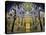 Spain, Andalucia, Cordoba Province, Cordoba, Mezquita, Cathedral of Cordoba-Alan Copson-Premier Image Canvas