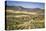 Spain, Andalucia. Olive Trees Endless Field in Summer.-Francesco Riccardo Iacomino-Premier Image Canvas