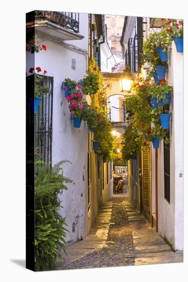 Spain, Andalusia, Cordoba. Calleja De Las Flores (Street of the Flowers) in the Old Town, at Dusk-Matteo Colombo-Premier Image Canvas