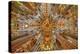 Spain, Barcelona. Sagrada Familia interior.-Hollice Looney-Premier Image Canvas