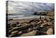 Spain, Canary Islands, Fuerteventura, Beach, Stone Tower, Sea-Andrea Haase-Premier Image Canvas