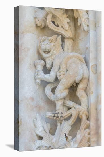 Spain, Salamanca, Cathedral, Relief Sculpture of an Impish Beast-Jim Engelbrecht-Premier Image Canvas