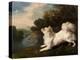 Spaniel Belonging to Painter Cosway Chasing a Butterfly, 1775 (Oil on Canvas)-George Stubbs-Premier Image Canvas