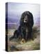 Spaniel in the Highlands-Lilian Cheviot-Premier Image Canvas