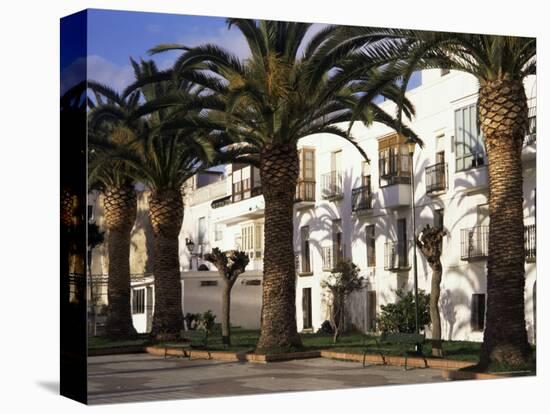 Spanish Architecture and Palm Trees, Tarifa, Andalucia, Spain-D H Webster-Premier Image Canvas