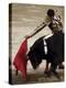 Spanish Bullfighter Camargue France-null-Premier Image Canvas