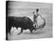 Spanish Matador Antonio Ordonez Executing Left Handed Pass Called "Pase Natural" During Bullfight-Loomis Dean-Premier Image Canvas