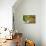 Spanish Moss and Azalea, South Carolina-George Oze-Premier Image Canvas displayed on a wall