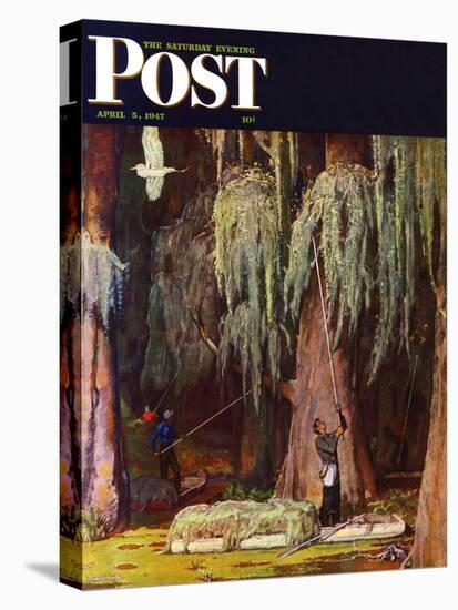 "Spanish Moss pickers," Saturday Evening Post Cover, April 5, 1947-Mead Schaeffer-Premier Image Canvas