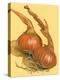 Spanish Onions-Barbara Keith-Premier Image Canvas