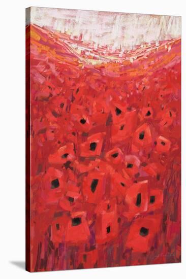 Spanish Poppies II-null-Stretched Canvas