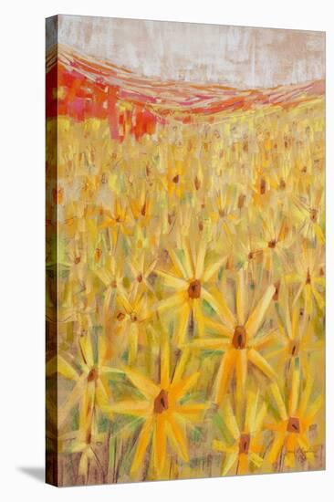 Spanish Sunflowers IV-null-Stretched Canvas