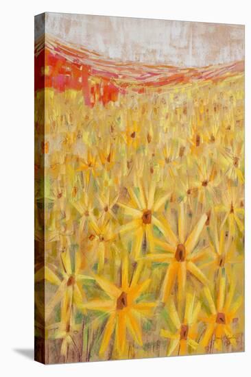 Spanish Sunflowers IV-null-Stretched Canvas
