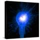 Sparking Light Bulb-Victor De Schwanberg-Premier Image Canvas