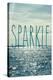 Sparkle-Sarah Gardner-Stretched Canvas