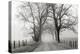 Sparks Lane, Late Autumn-Nicholas Bell-Premier Image Canvas