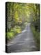 Sparks Lane-J.D. Mcfarlan-Premier Image Canvas