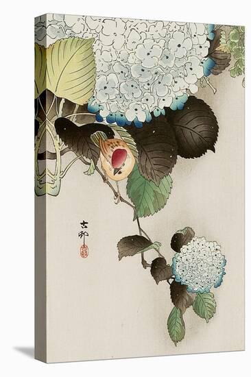 Sparrow on Hydrangea-Koson Ohara-Premier Image Canvas