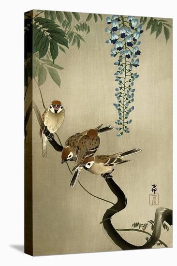 Sparrows and Wisteria-Koson Ohara-Premier Image Canvas