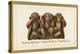 Speak, Hear, See No Evil, Three Monkeys-null-Stretched Canvas