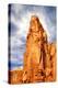 Spearhead Mesa-Douglas Taylor-Premier Image Canvas