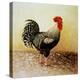 Speckled Rooster-Dory Coffee-Premier Image Canvas