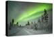 Spectacular Aurora Borealis (Northern Lights) over a Track through Winter Landscape in Finnish Lapl-Sara Winter-Premier Image Canvas