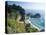 Spectacular Coastline with Waterfall, Julia Pfeiffer Burns State Park, Big Sur, USA-Ruth Tomlinson-Premier Image Canvas