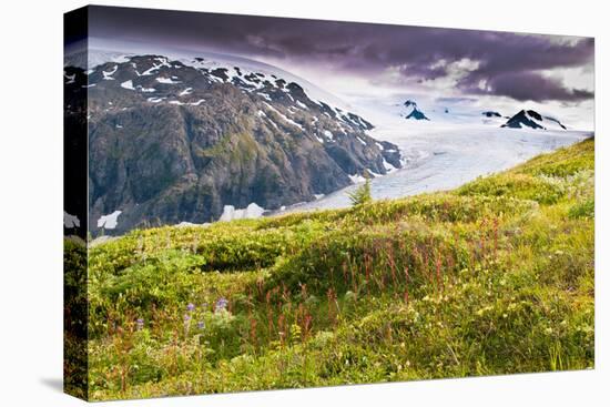 Spectacular Exit Glacier, Kenai Fjords National Park, Seward, Alaska-Mark A Johnson-Premier Image Canvas