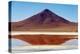 Spectacular view of Laguna Colorada, Reserva Eduardo Avaroa, Bolivian desert, Bolivia-Anthony Asael-Premier Image Canvas