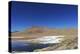 Spectacular view of Laguna Colorada, Reserva Eduardo Avaroa, Bolivian desert, Bolivia-Anthony Asael-Premier Image Canvas