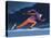 Speed skater-Harry Briggs-Premier Image Canvas