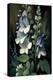 Speedwell Flowers-Lea Faucher-Stretched Canvas