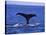 Sperm Whale Fluke-DLILLC-Premier Image Canvas